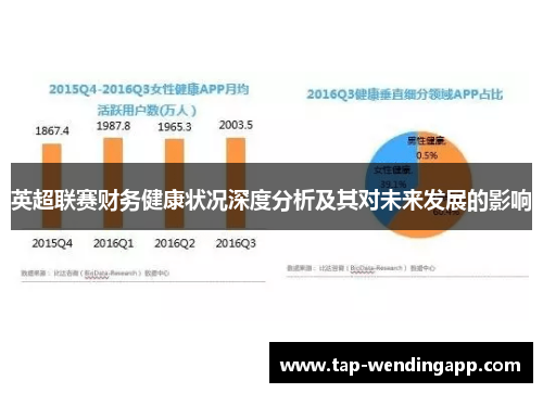 英超联赛财务健康状况深度分析及其对未来发展的影响 英超联赛财务健康状况深度分析及其对未来发展的影响