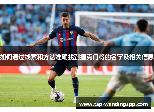 如何通过线索和方法准确找到捷克门将的名字及相关信息