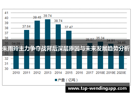 朱雨玲主力争夺战背后深层原因与未来发展趋势分析