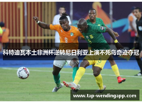 科特迪瓦本土非洲杯逆转尼日利亚上演不死鸟奇迹夺冠