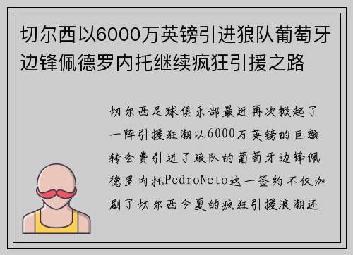 切尔西以6000万英镑引进狼队葡萄牙边锋佩德罗内托继续疯狂引援之路 切尔西以6000万英镑引进狼队葡萄牙边锋佩德罗内托继续疯狂引援之路